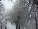 20161220_091020.jpg