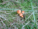 PIC_0118.JPG