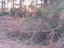 WP_000130.jpg