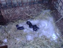 PIC_0032.JPG