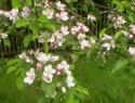 IMGA0911.JPG