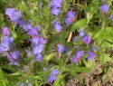 IMGA0452.JPG